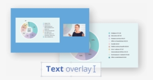 Custom Layout Designer - Toys R Us Coupons 2010