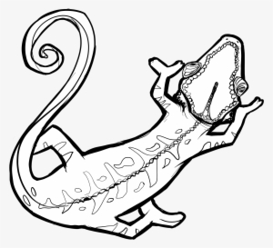 Chamaleon Outlines Black And White - Wikimedia Commons