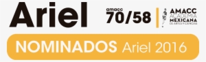 Ariel - Amacc