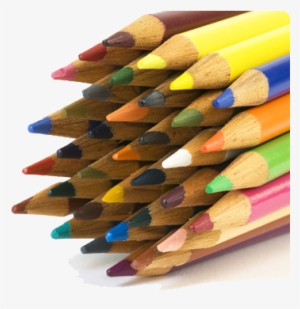 La Asociación De Profesores Plis - Ödev Kapakları