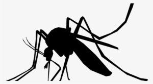 Nursed To Health - Defend Natural And Deet Free Waterproof Insect