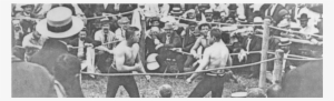 Strong Boy: The Life And Times Of John L. Sullivan,