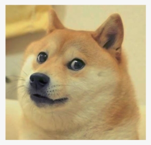 Doge - Svg - Doge Poem