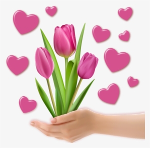 Png Image, Decoration, Tulips, Heart, Valentine, Hands - Clip Art