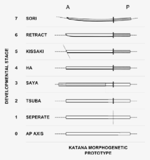 The Reverse Engineered 'katana' Prototype - Science