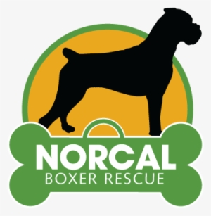Norcal Boxer Rescue - Northern California