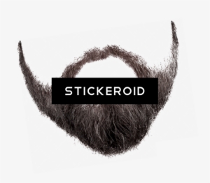 Beard And Moustache - Two-toed Sloth
