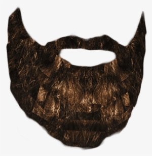 Beards - City