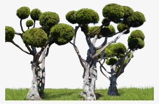 Round Tree Forest Png Stock In Landscape 0007 By Annamae22 - Klse:puc