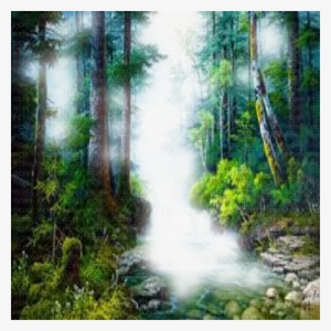 Forest Frame - Forest Photo Frame Transparent