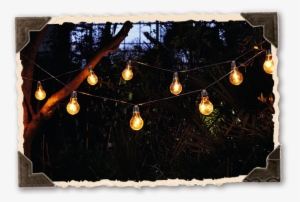 Lights - “