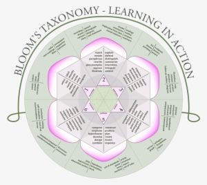 File - Blooms Rose - Svg - Bloom's Taxonomy Rose