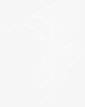 Rose Outline Rose Outline Rose Outline - Google G Logo White