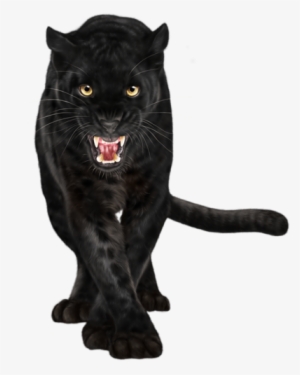 Share This Image - Black Panther Png Animal