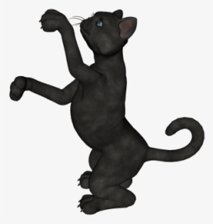 Black Cat - Illustration