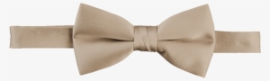 Beige - Necktie