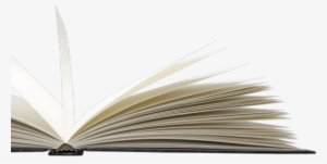 Selected Insights - “ - Novel