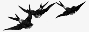 Digital Birds Flying Image Transfer Download - Vintage Bird Clip Art