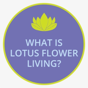 Welcome To Lotus Flower Living - 5 Star Windows