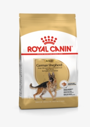 Royal Canin British Shorthair 10 Kg