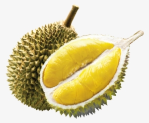 Durian Fruit Png - Durian Potong Ice Cream