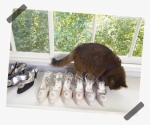 Fangs And Chanel - Elizabeth Taylor Bel Air Home