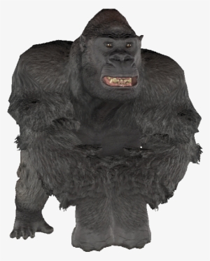 The Vault Fallout Wiki - The Vault