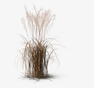3d Modeling