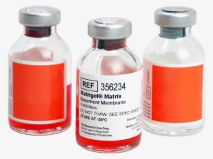 Pill Bottle Labels Png - Liquid Medicine Bottle Png