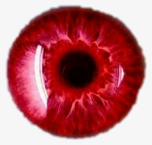 Personas Albinas Ojos Rojos