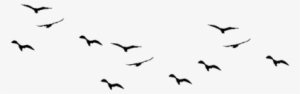Birds Pic Flock Of - Birds Flying Vector Png