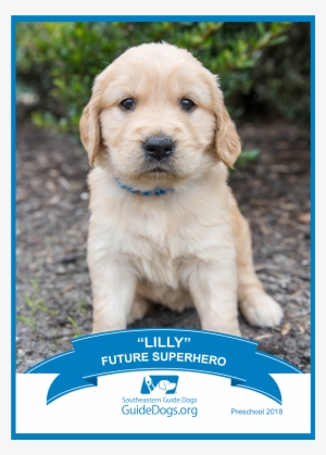 Southeastern Guide Dogs