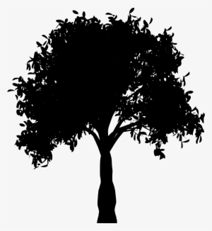 Download Png - Transparent Tree Clip Art Black And White Png