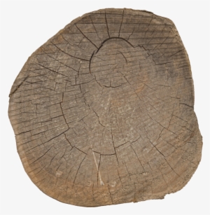 Materials - > - Nature - Trunk