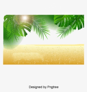 Palm Beach, Coco, Trees, Palm Png And Psd - Portable Network Graphics