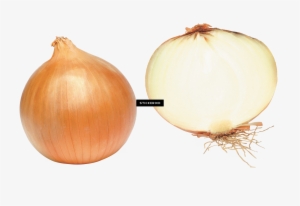 Onion - Yellow Onion