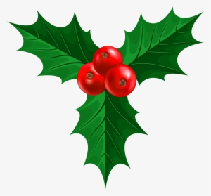 Holly Png