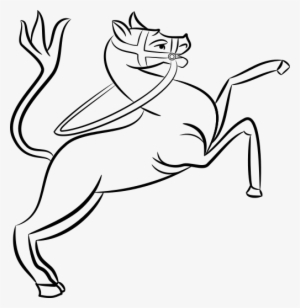 Alphabetical List Of Entries - Horse