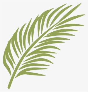 Palm Frond Png - Palm Leaves Clip Art Png