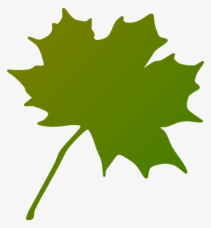 How To Set Use Green Gradient Maple Leaf Clipart - Canada's Maple Leaf Transparent
