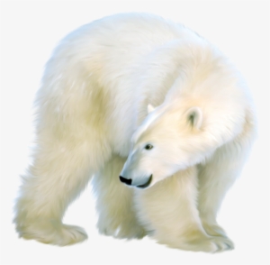 Png Polar Bear Clip Art Black And White - Polar Bear