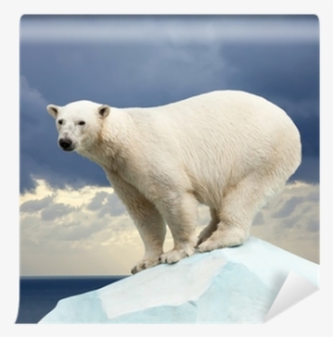 Wild Animals (hb)....future Books