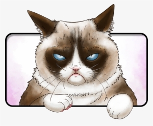Grumpy Cat - Domestic Short-haired Cat