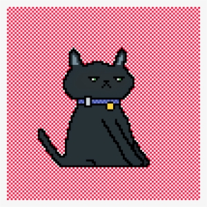 A Grumpy Cat - Squitten