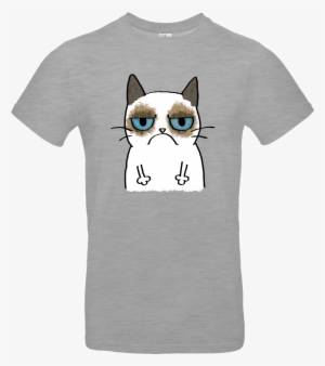 Grumpy Cat T-shirt B&c Exact