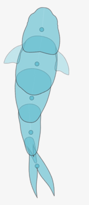 Fish-dia01