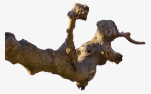 Tree Branch Cutout Png By Andrei-oprinca On Clipart - Big Tree Branch Png