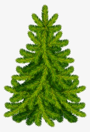 Trees ‿✿⁀°••○ - Christmas Tree