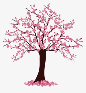Cherry Blossom Tree Clip Art - Árvore De Cerejeira Desenho