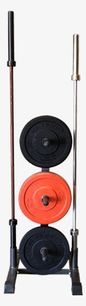 Vertical Barbell & Bumper Plate Holder - Gym